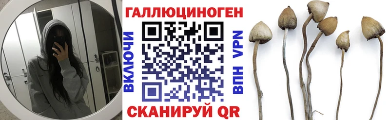 Галлюциногенные грибы Magic Shrooms  Гусь-Хрустальный 